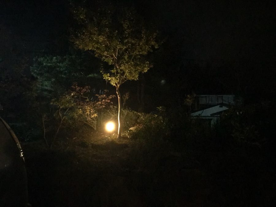 rblog-20181018183105-01.jpg
