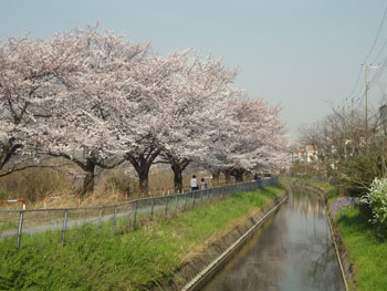 s02.jpg