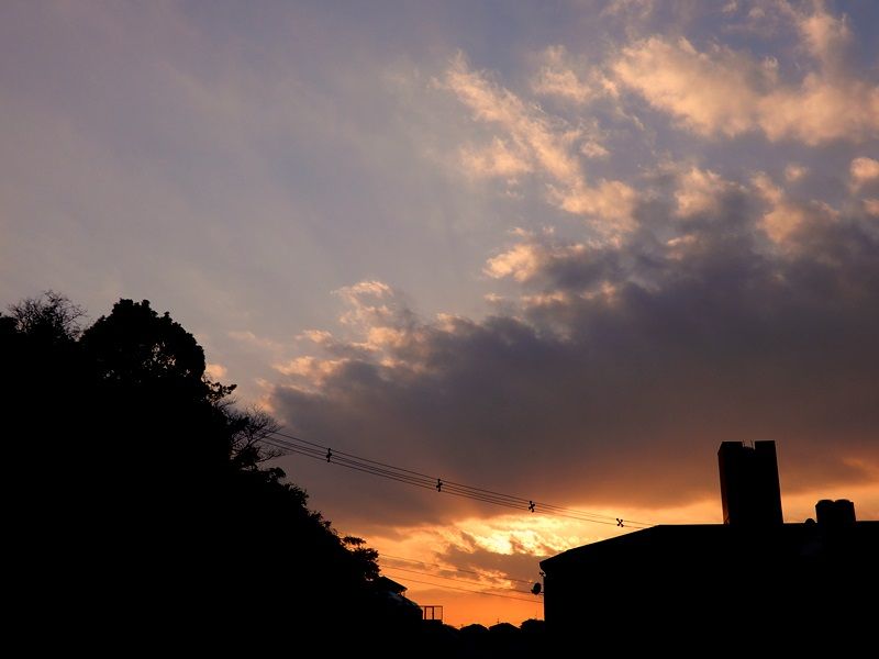 夕暮れ2