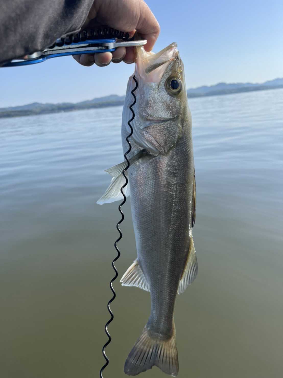 記事一覧 Middle Aged Fisherman 楽天ブログ