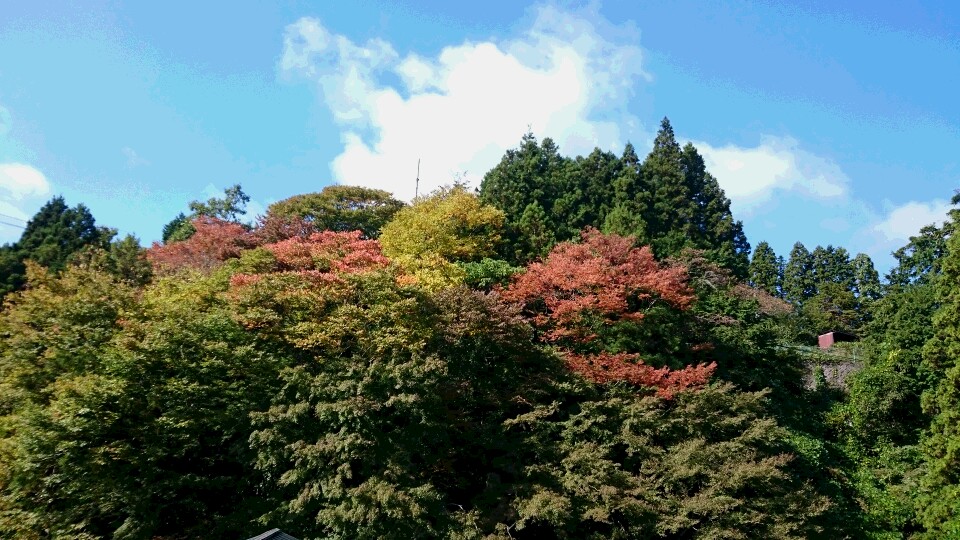 20151018地蔵堂紅葉