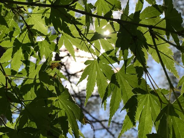 rblog-20170517160914-08.jpg