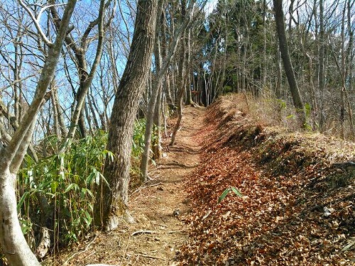 20150314鹿狼山七峰縦走土塁歩き.jpg