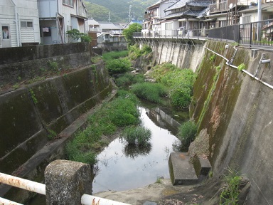 IMG_9954 縮小 - コピー.jpg