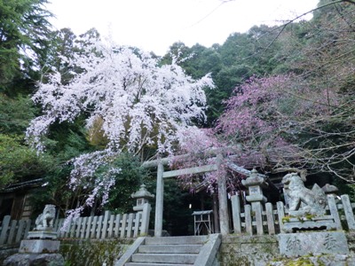 大豊神社.JPG