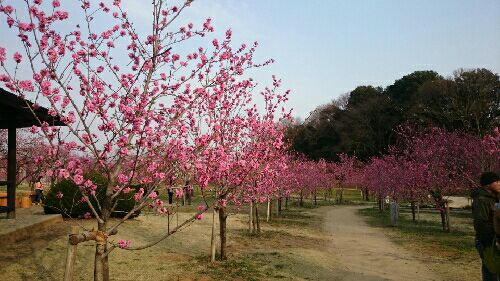 rblog-20150323195315-03.jpg