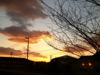 IMG_3047.jpg