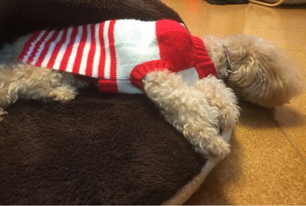 rblog-20161125232744-06.jpg