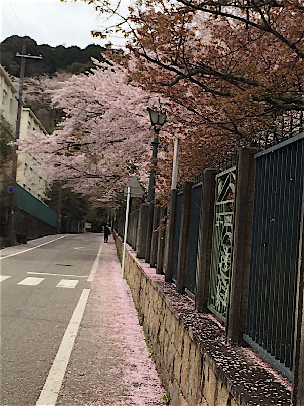 rblog-20160417093357-02.jpg