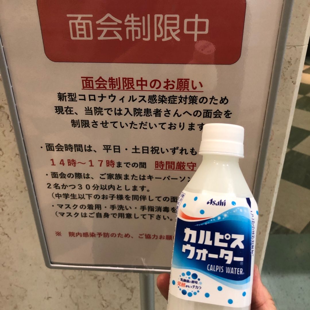 人肌カルピスと猫戦シャー 2 犬と旦那とiga ニャン 楽天ブログ