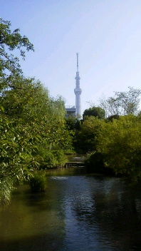 21037872_1993548883_110large.jpg