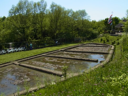 赤羽自然観察園、田圃１.jpg