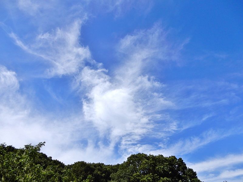 空2