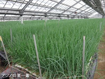 20160627 満韓峰18