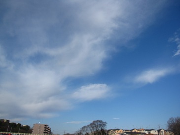 IMG_7895.JPG