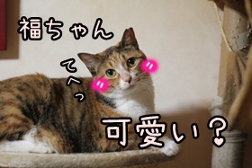 画像 157.jpg