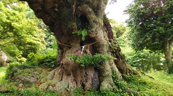 DSC_0210.JPG