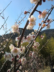 s-20120311 (3).jpg