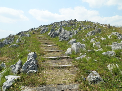 秋吉台-17.jpg