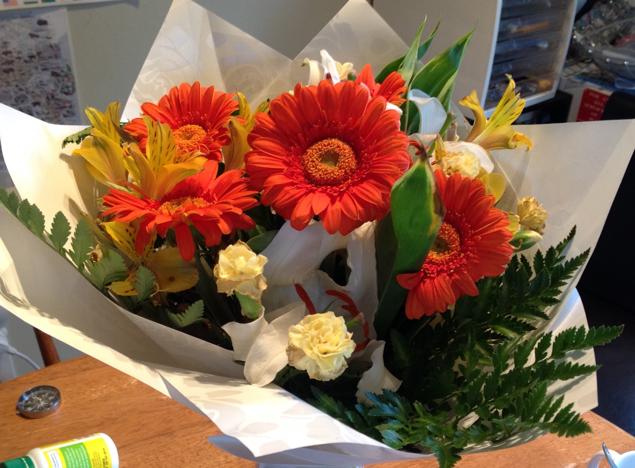 2017-03-01 08.04.302.jpg