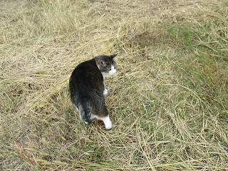 IMG_1527ss.jpg