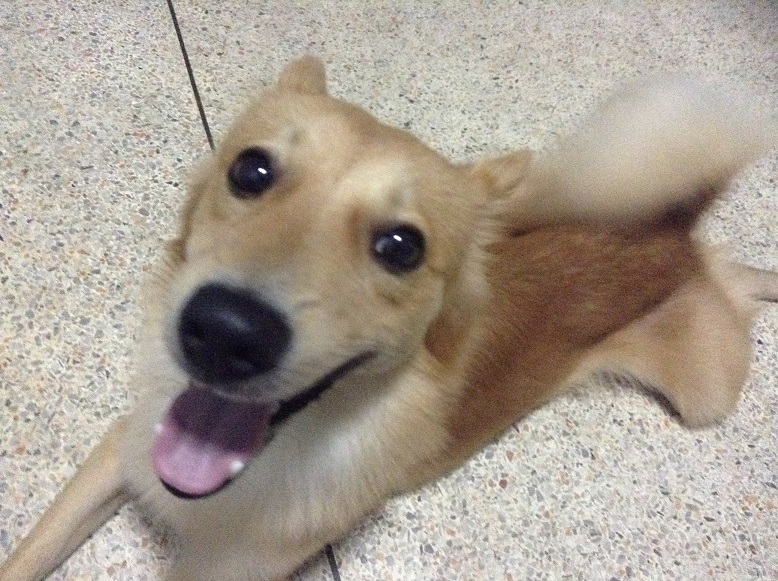bkk
