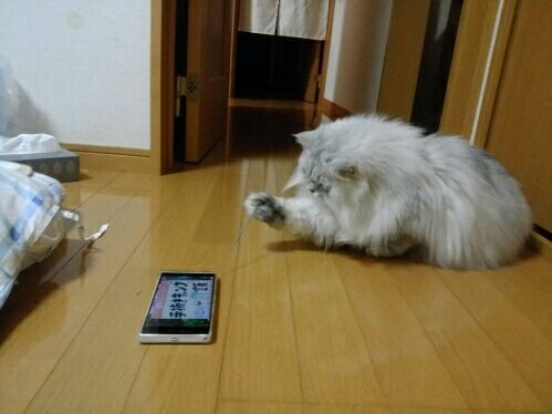 rblog-20160502224122-01.jpg