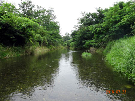 浅川渓谷入口.jpg