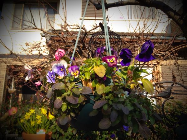 rblog-20141231141248-03.jpg