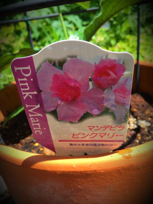 rblog-20150531143935-05.jpg
