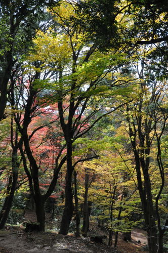 寺家公園