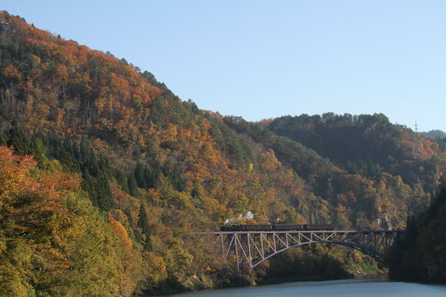 紅葉真っ盛り SL只見線紅葉号 試運転 2回目3