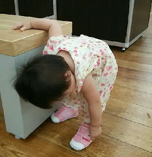 rblog-20150809231545-00.jpg