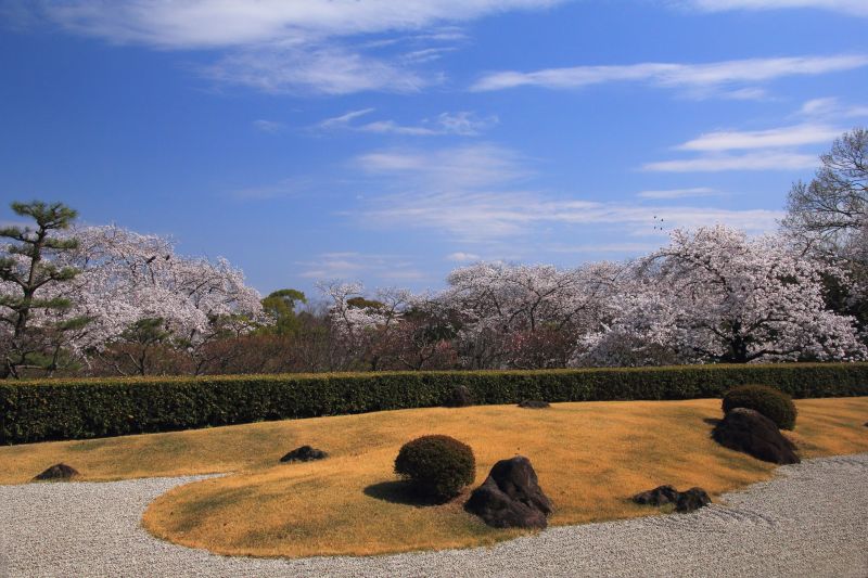 万博記念公園_009茶室千里庵庭園.jpg