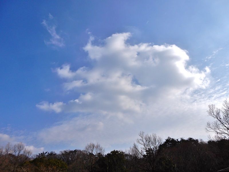 空2