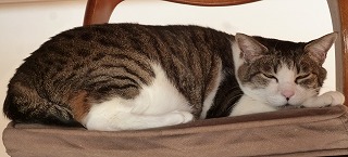 P1270752-ass.jpg
