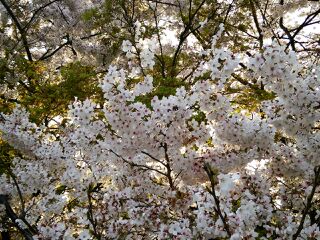 rblog-20140402225656-03.jpg