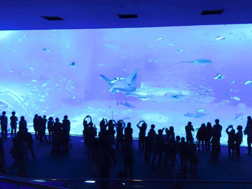 美ら海水族館