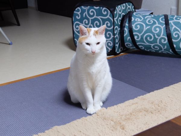 rblog-20141231061533-03.jpg