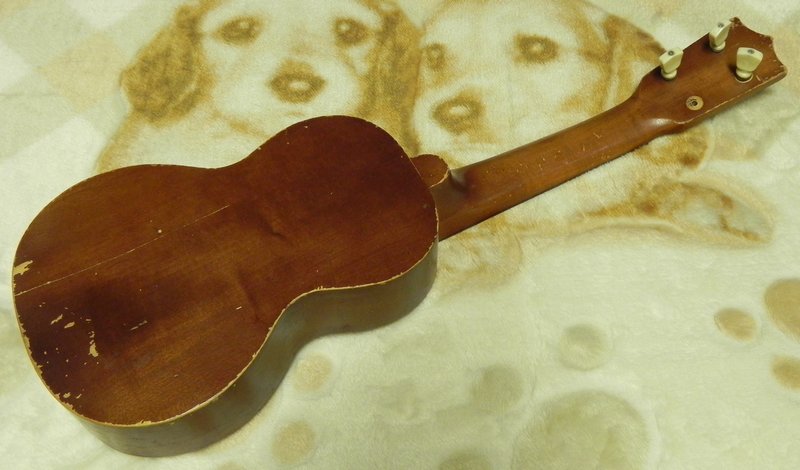 DSCN2446.JPG