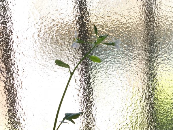 rblog-20180331130954-08.jpg