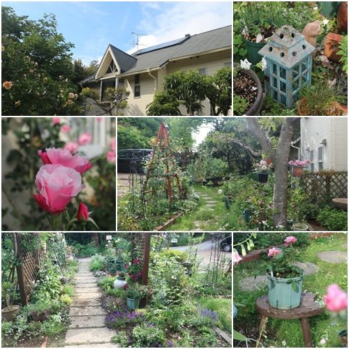 淡路のお花めぐり日記４ ペンション グリーンリーフ さんにお邪魔しました カントリーファン大感激です ガーデニングがすごいパン屋さんでも写真撮りまくりです カントリーの自宅ｓｈｏｐ テディベアテラス のゆみちゃんの日記 毎日 一歩 一歩 楽天ブログ