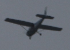 E7D_6862-20.jpg