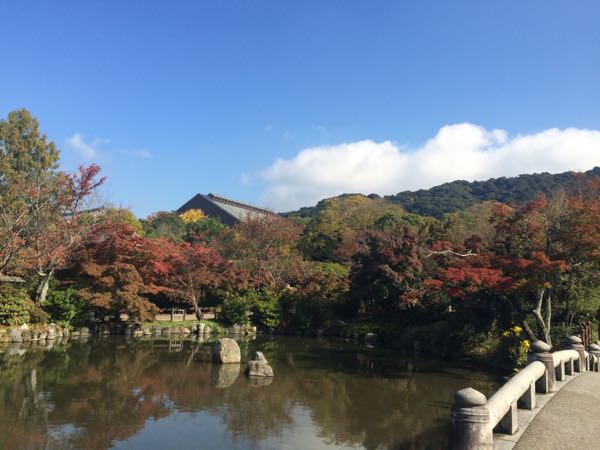 rblog-20161120075139-01.jpg