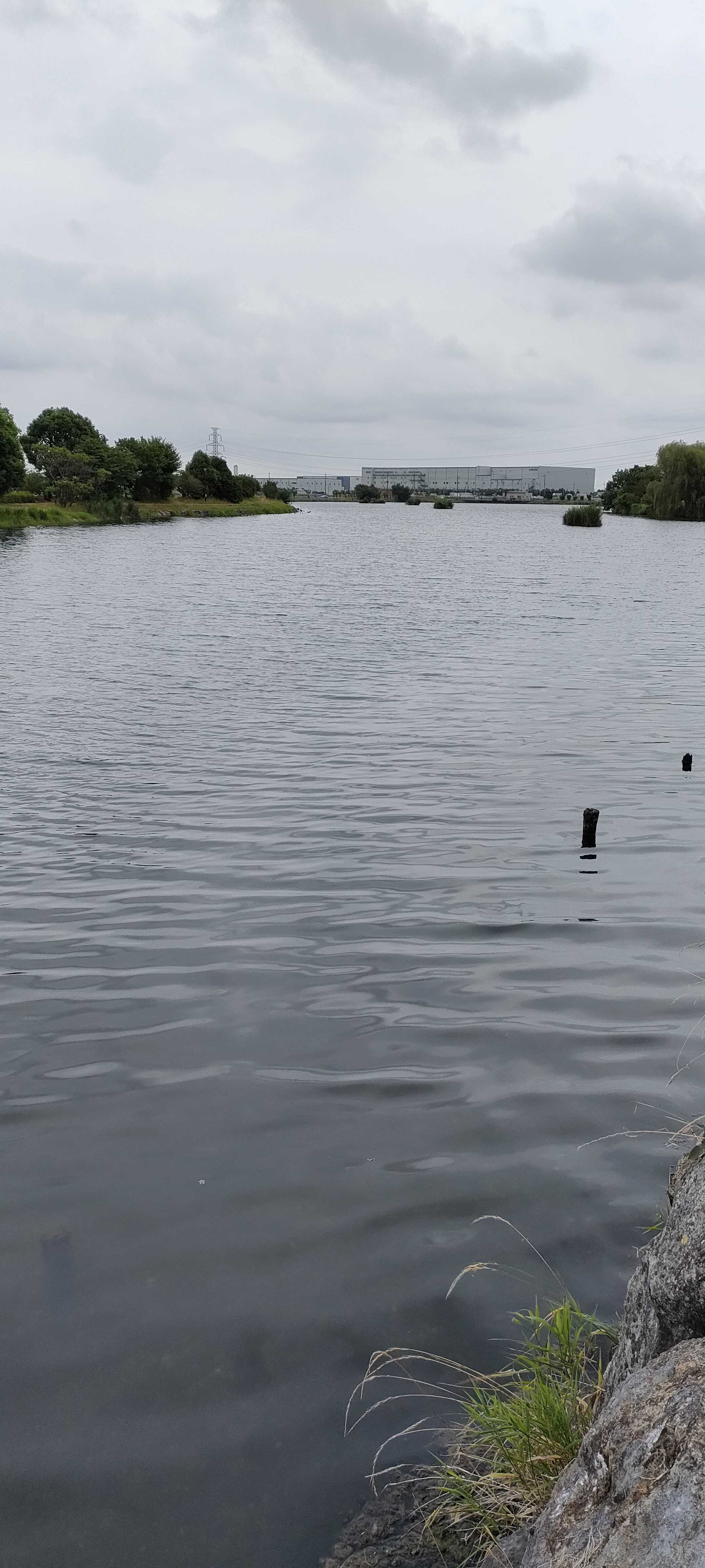 柴山沼20220712 つまみぐいのブログ 楽天ブログ