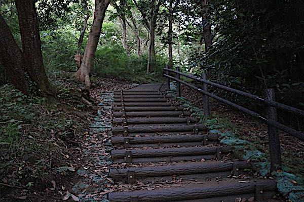 rblog-20180703002815-08.jpg