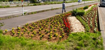 花植え