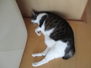 IMG_5896ss.jpg