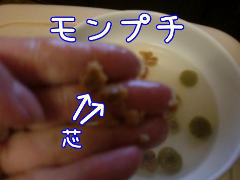 モンプチ.JPG