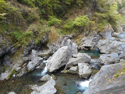 鳩ノ巣.jpg
